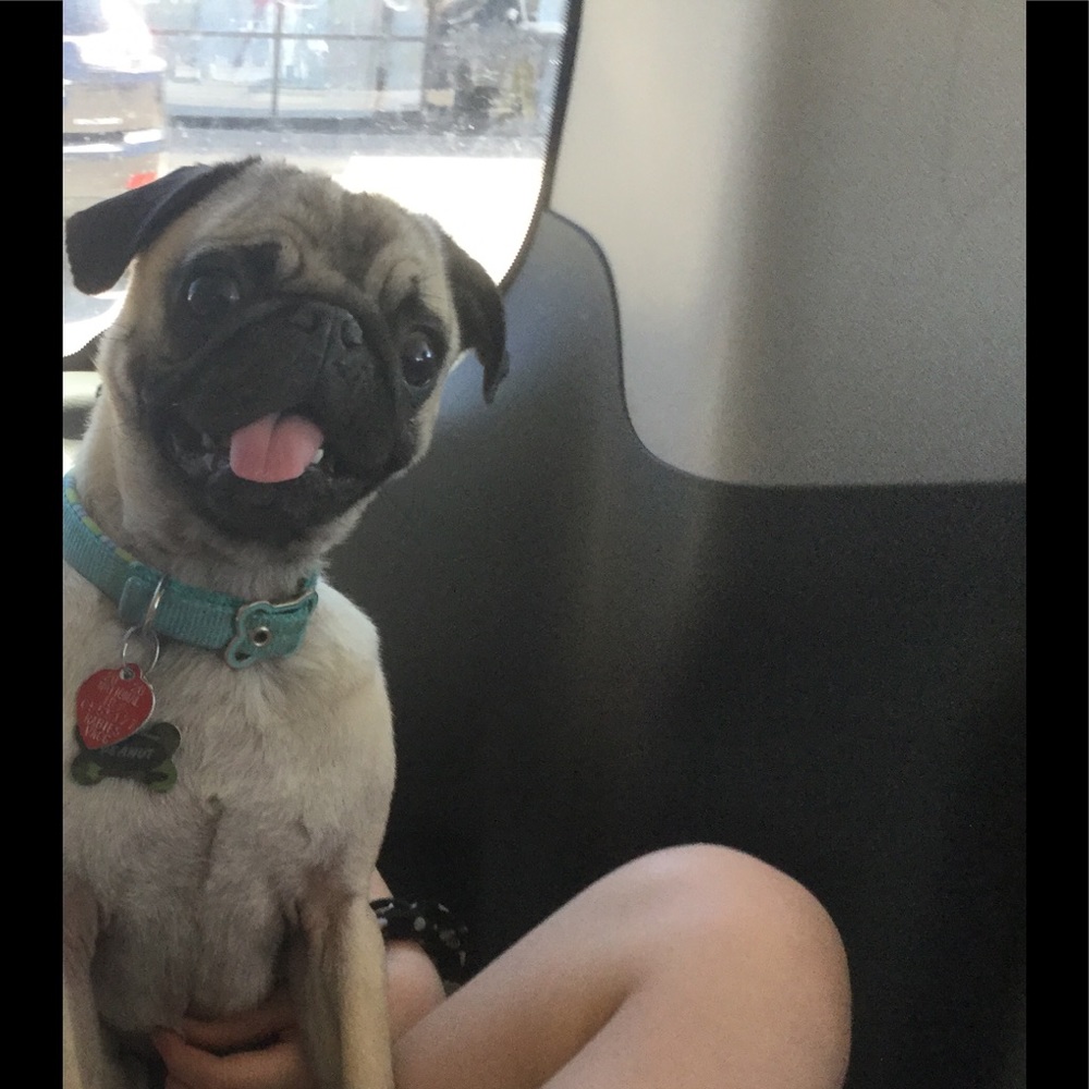 Meet your Posher, Bekah - Picture 1 of 1